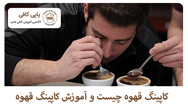 کاپینگ قهوه چیست و آموزش کاپینگ قهوه