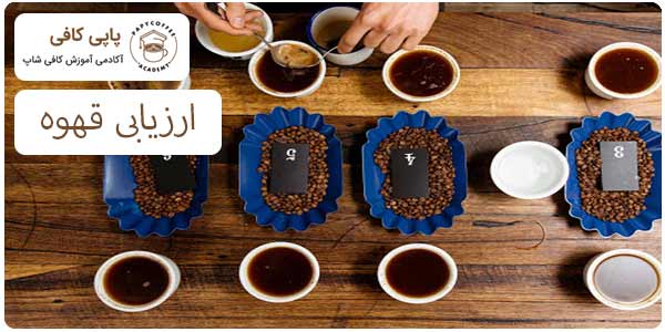 ارزیابی قهوه