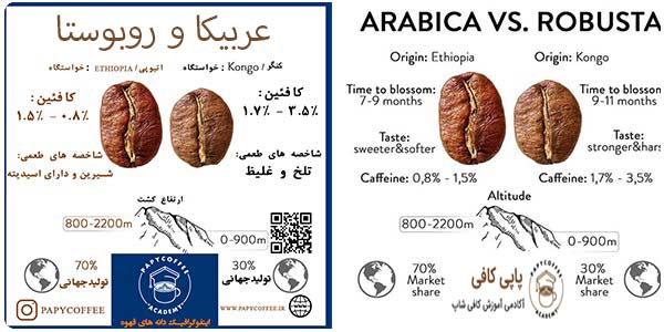 عربیکا و روبوستا