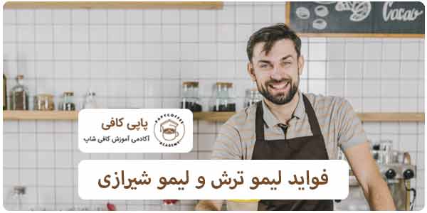 خواص لیمو ترش و لیمو شیرازی