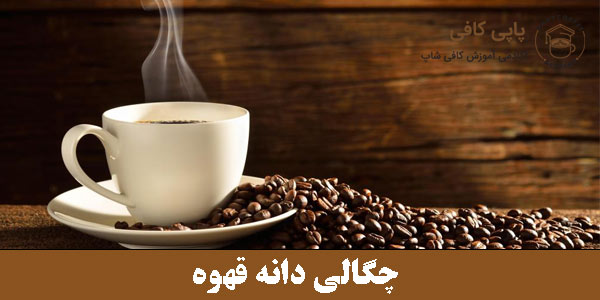 چگالی دانه قهوه
