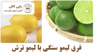 فرق لیمو ترش و لیمو سنگی