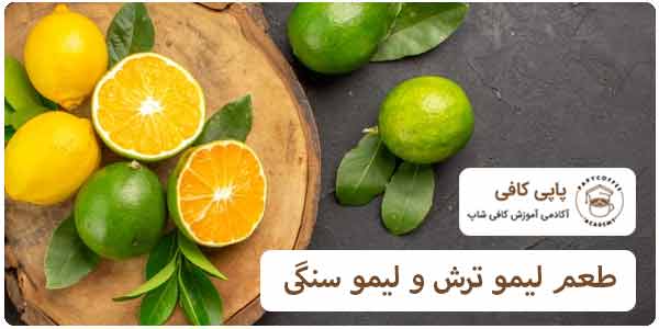 طعم لیمو ترش و لیمو سنگی