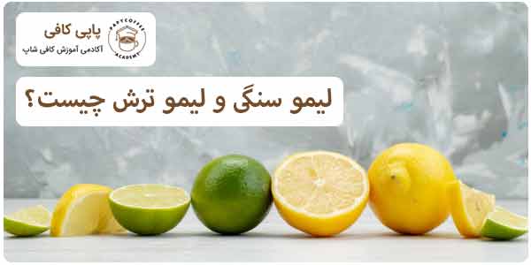 لیمو سنگی و لیمو شیرازی چیست
