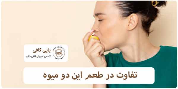 تفاوت طعم لیمو ترش و لیمو سنگی