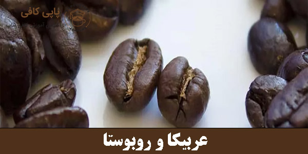 عربیکا و روبوستا