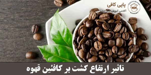 تاثیر ارتفاع کشت بر کافئین قهوه