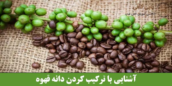 آشنایی با ترکیب کردن دانه قهوه