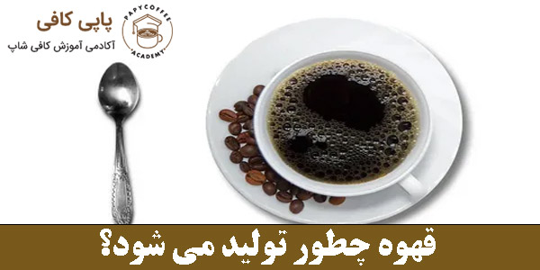 قهوه چطور تولید می شود