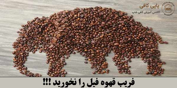 فریب قهوه فیل را نخورید
