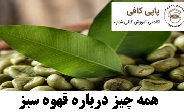 همه چیز درباره قهوه سبز