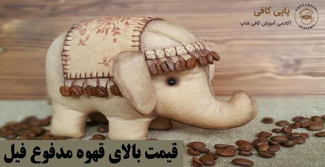 قیمت بالای قهوه مدفوع فیل