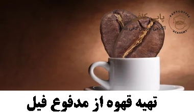 تهیه قهوه از مدفوع فیل