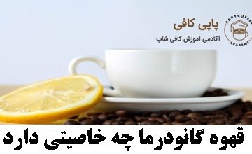 قهوه گانودرما چه خاصیتی دارد