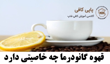قهوه گانودرما چه خاصیتی دارد