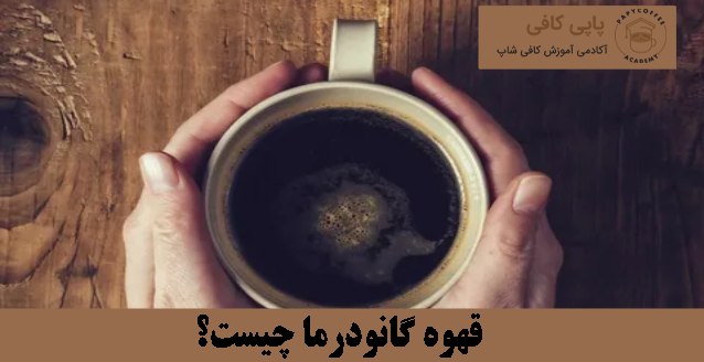 قهوه گانودرما چیست؟