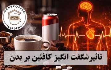 تاثیر کافیین بر بدن